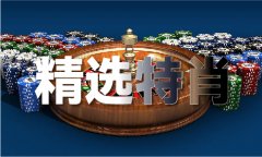 全面贯彻落实党的二十